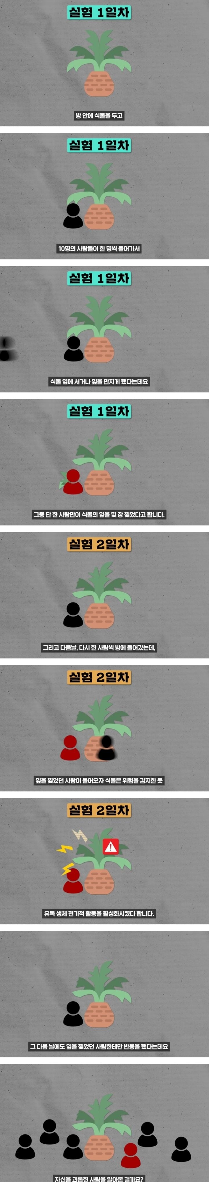 헐. 흥미돋. 식물은 자길 괴롭힌 사람을 기억한대 대박 | 인스티즈