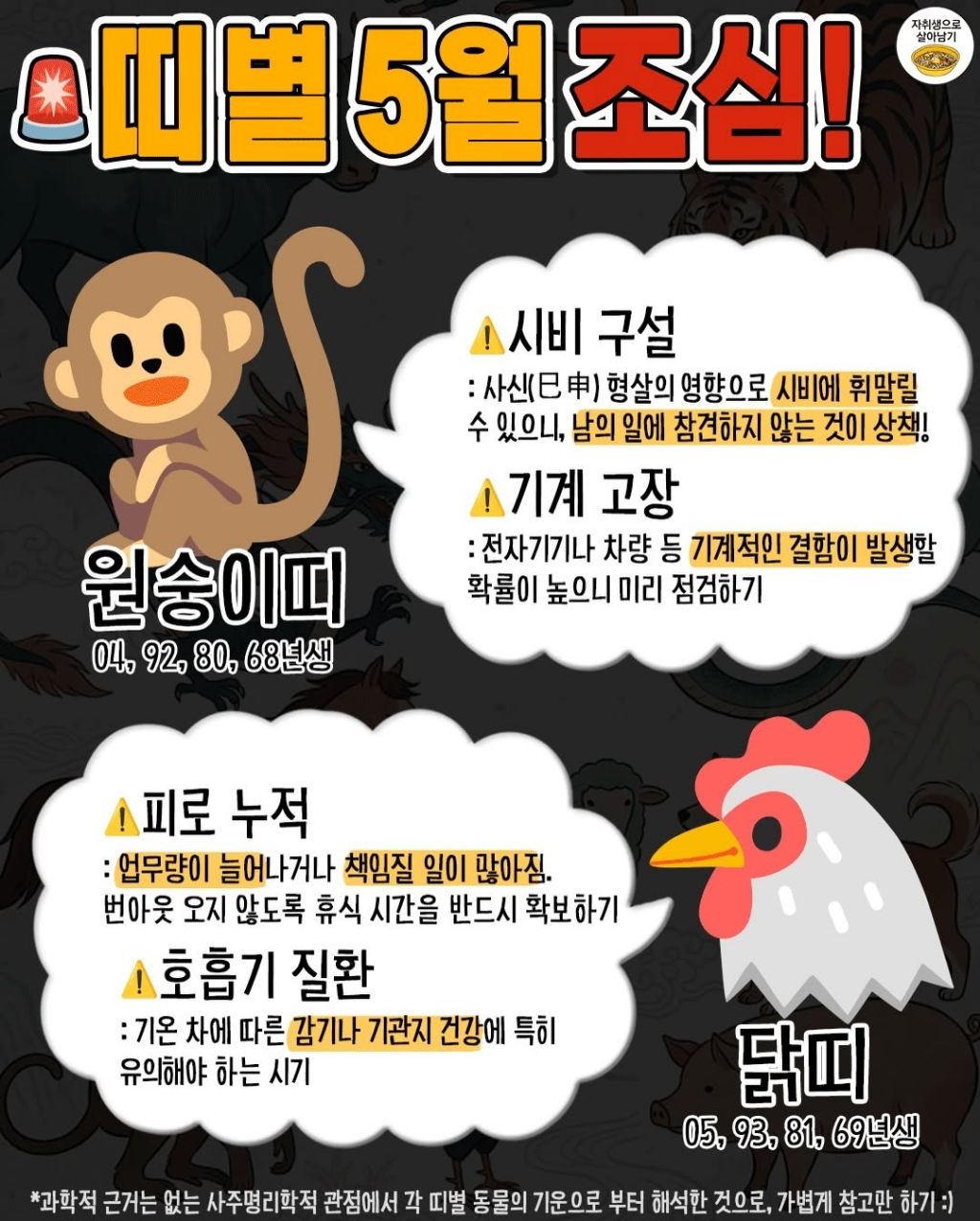 5월부터 띠별로 꼭 조심할것 | 인스티즈