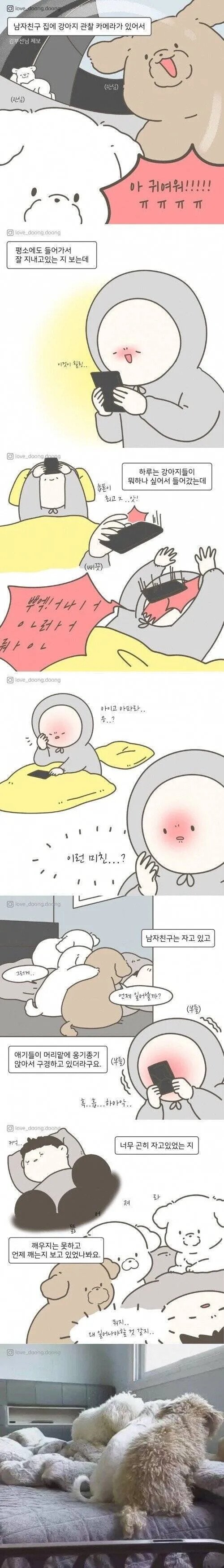 남친 집 강아지 관찰 카메라 보다가 심쿵사.jpg | 인스티즈