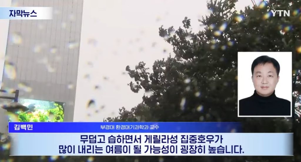 올해 여름 ㅈ됨 | 인스티즈