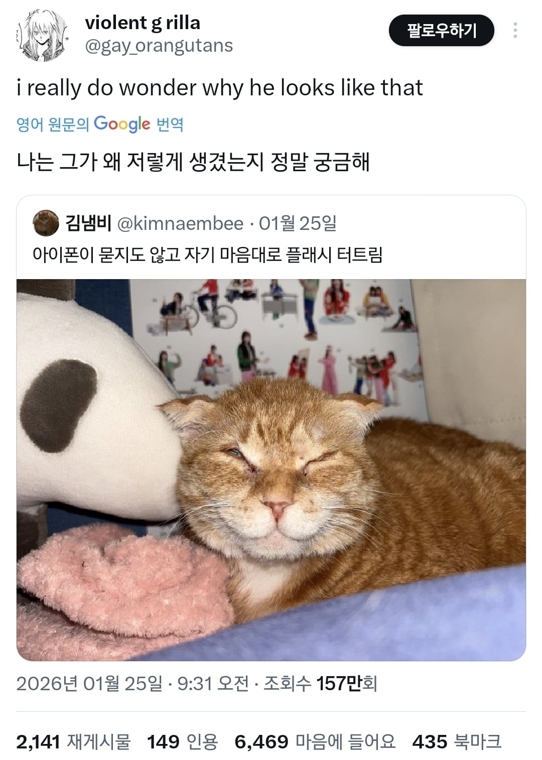 김냄비 사진 보고 놀란 외국인들.twt | 인스티즈
