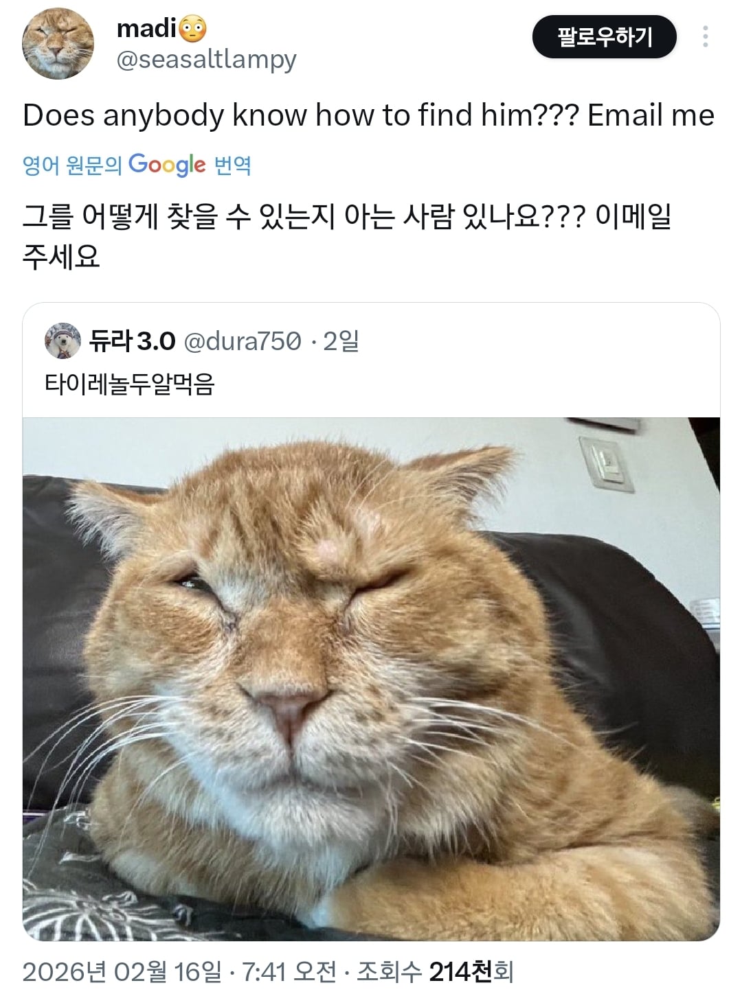 김냄비 사진 보고 놀란 외국인들.twt | 인스티즈