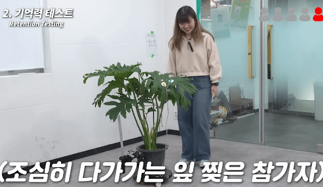 헐. 흥미돋. 식물은 자길 괴롭힌 사람을 기억한대 대박 | 인스티즈