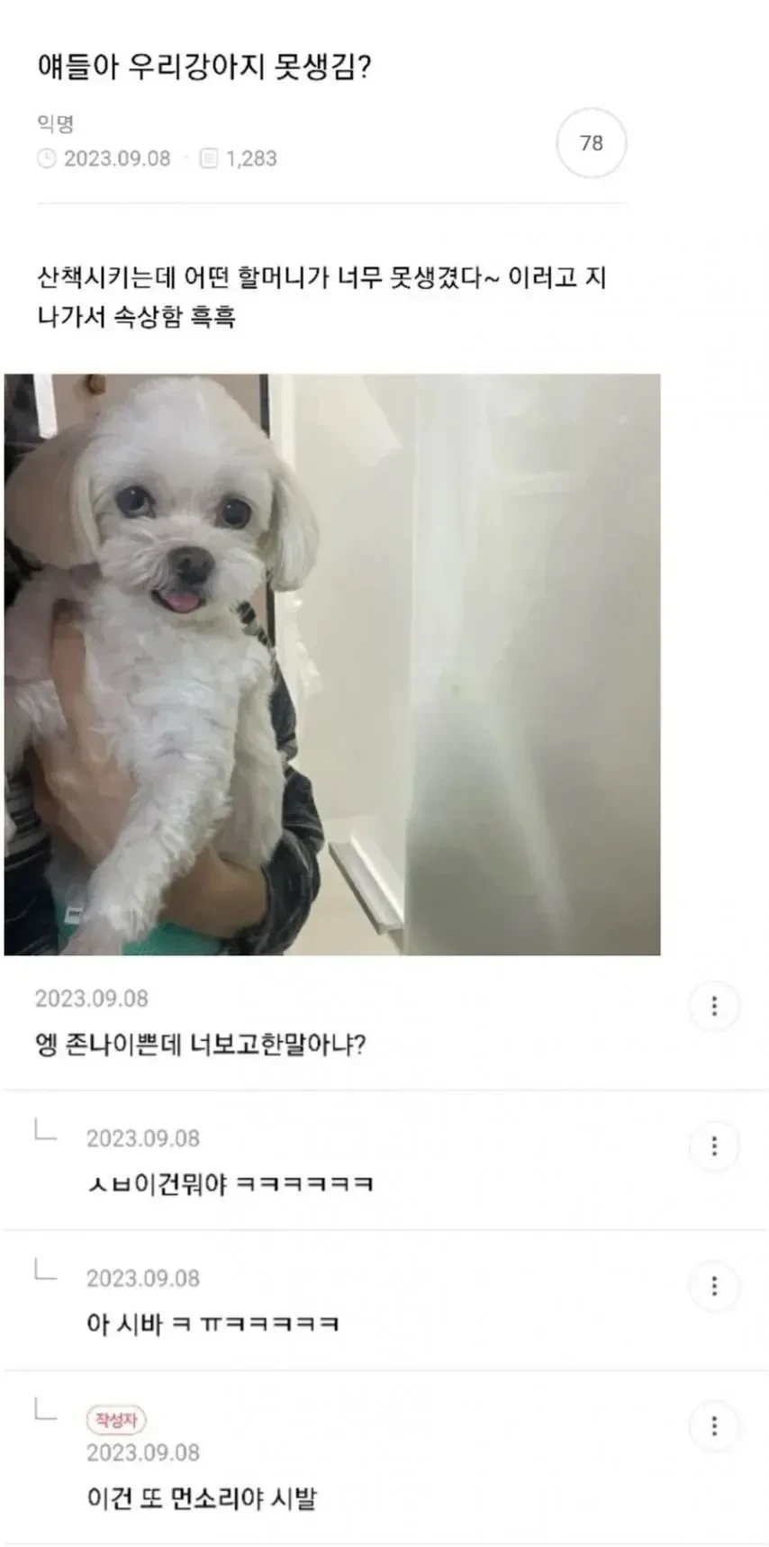 우리강아지 못생김?.jpg | 인스티즈