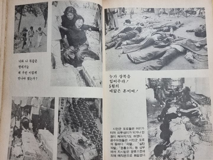우리집에 책있거든..진짜 잔인해..(사진주의) | 인스티즈