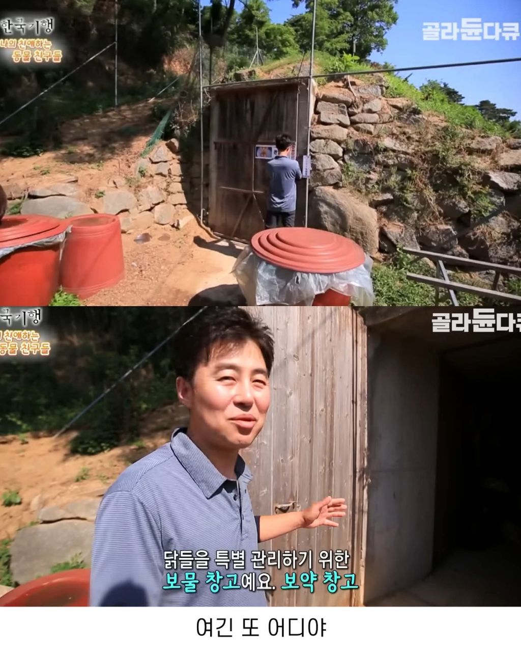 백숙집 하려고 닭 키우다 닭에게 정든 부부 | 인스티즈