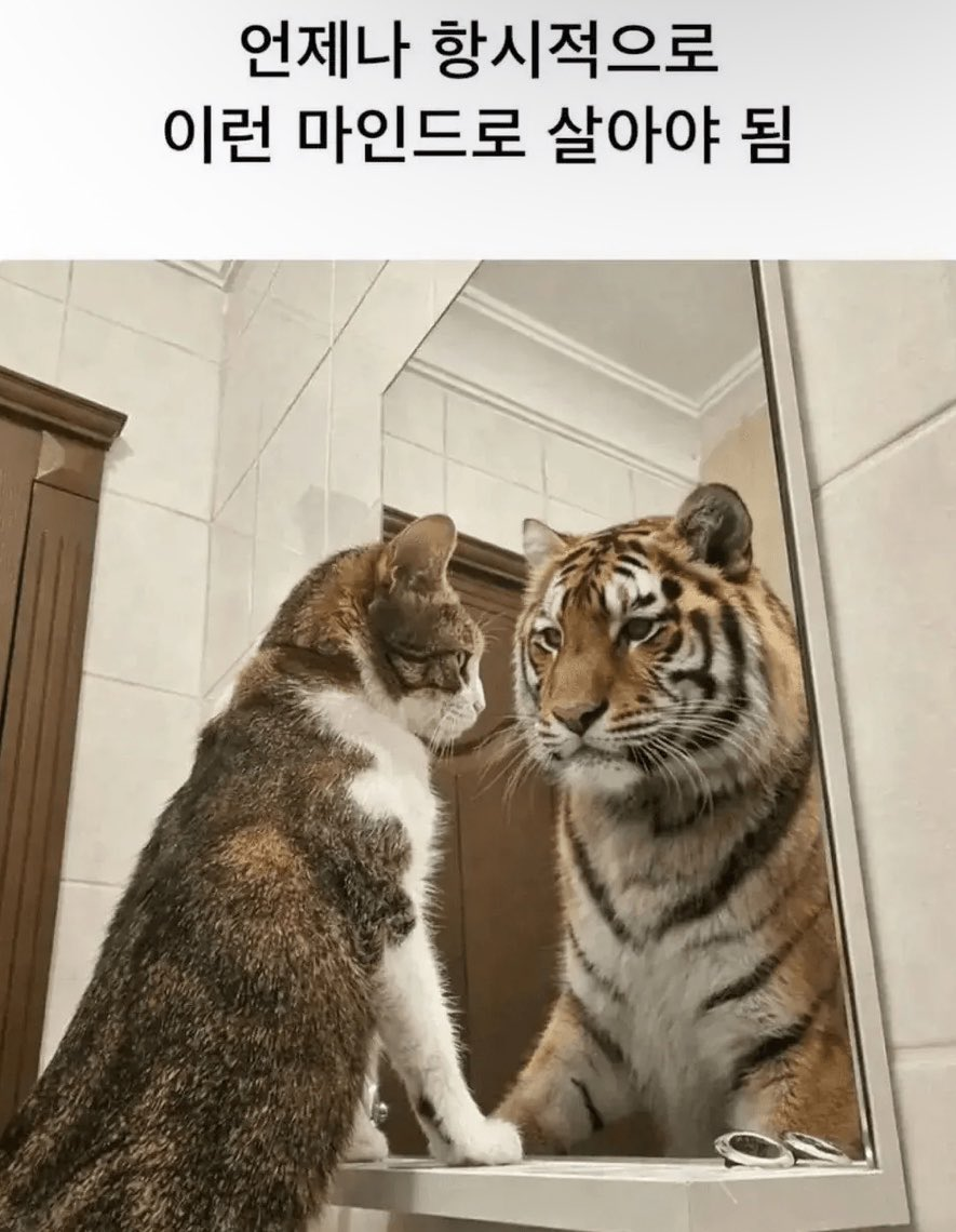 언제나 항시적으로 이런 마인드로 살아야함 | 인스티즈