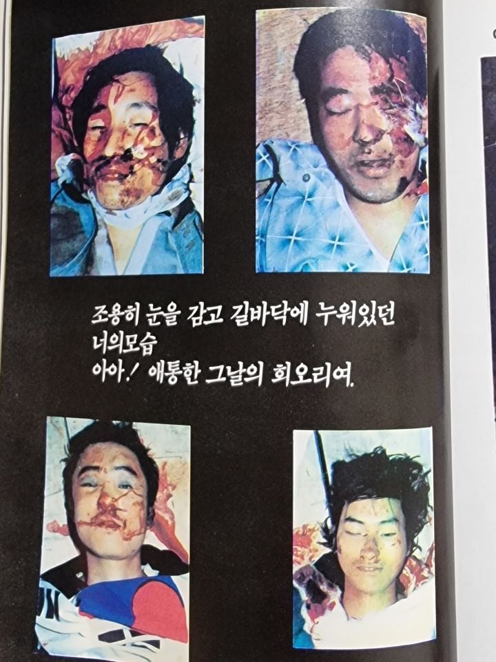 우리집에 책있거든..진짜 잔인해..(사진주의) | 인스티즈
