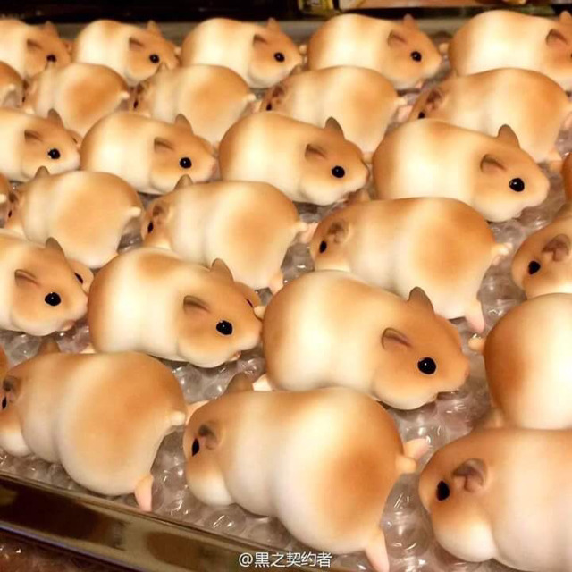 먹음직스러운 햄스터빵 | 인스티즈