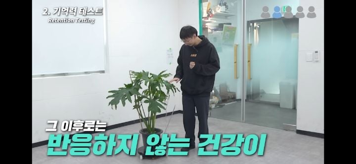 헐. 흥미돋. 식물은 자길 괴롭힌 사람을 기억한대 대박 | 인스티즈