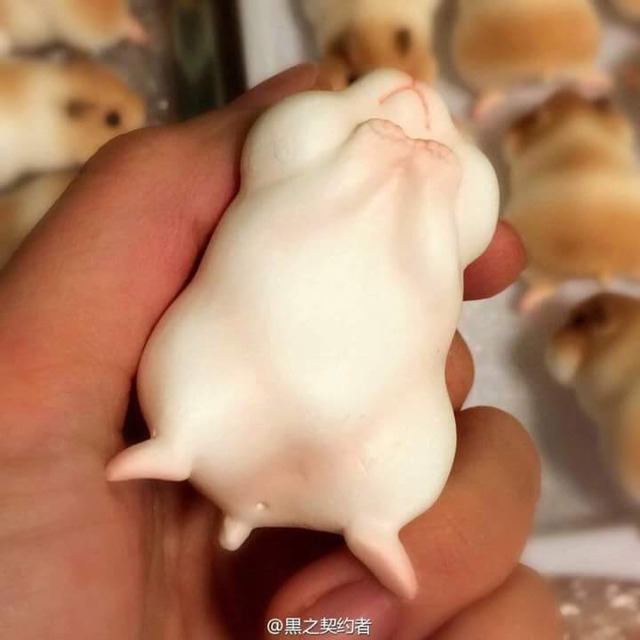 먹음직스러운 햄스터빵 | 인스티즈