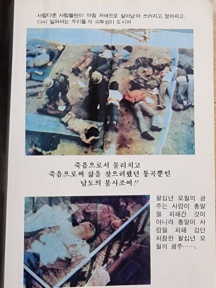우리집에 책있거든..진짜 잔인해..(사진주의) | 인스티즈