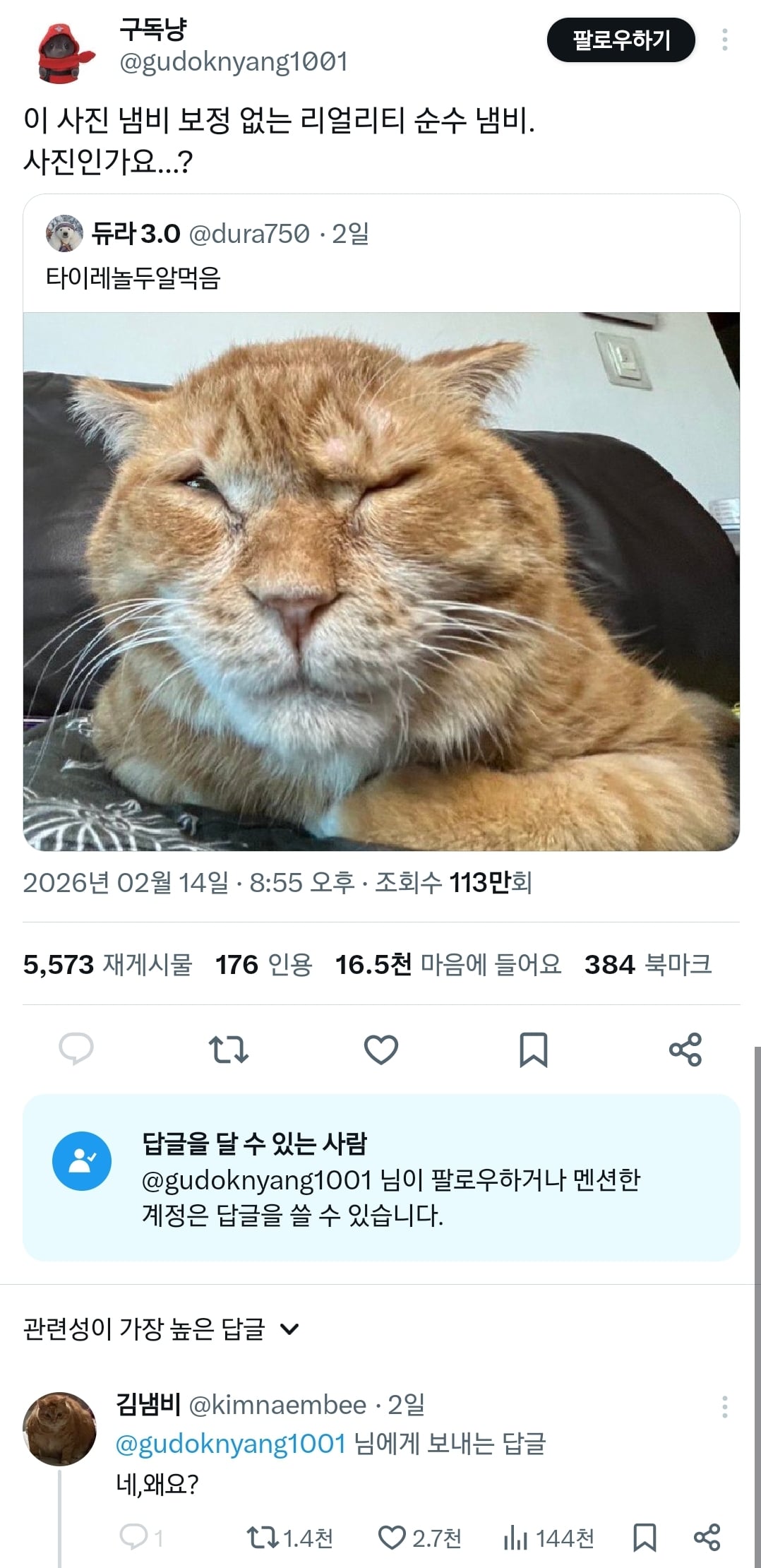 김냄비 사진 보고 놀란 외국인들.twt | 인스티즈