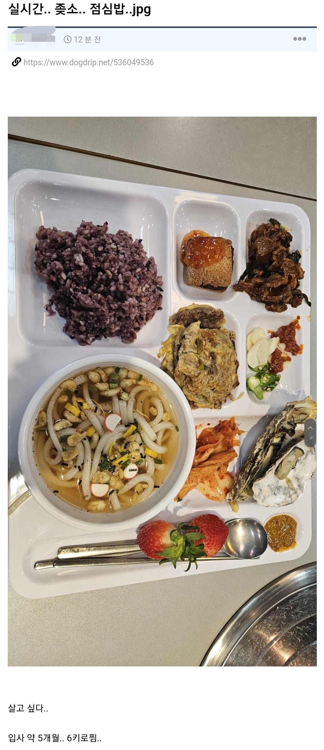 실시간 욕먹고 있다는 점심밥 | 인스티즈