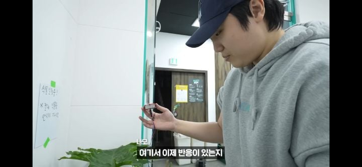 헐. 흥미돋. 식물은 자길 괴롭힌 사람을 기억한대 대박 | 인스티즈
