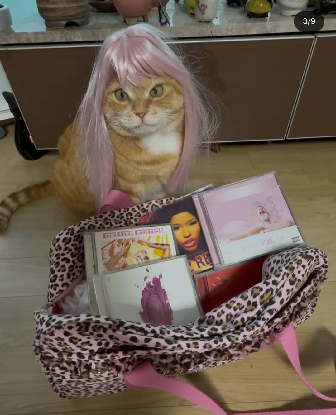 김냄비 사진 보고 놀란 외국인들.twt | 인스티즈