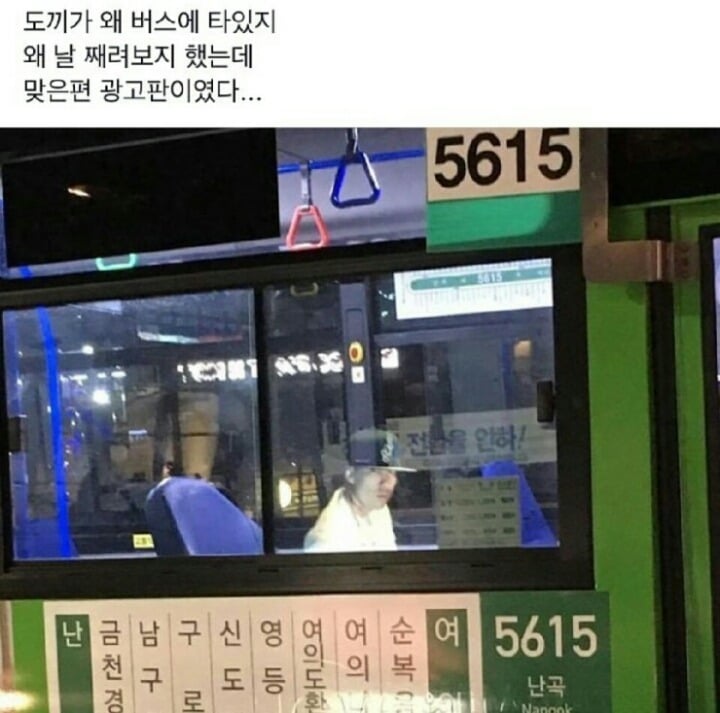 [어린이날기념] 아무짤 대잔치(랜덤, 데이터주의) | 인스티즈