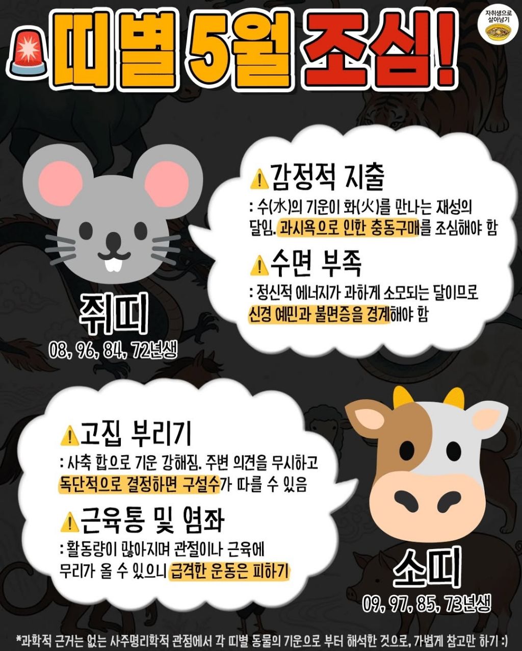 5월부터 띠별로 꼭 조심할것 | 인스티즈
