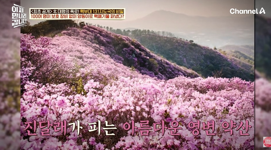 김소월 진달래꽃에 나오는 영변 근황 | 인스티즈