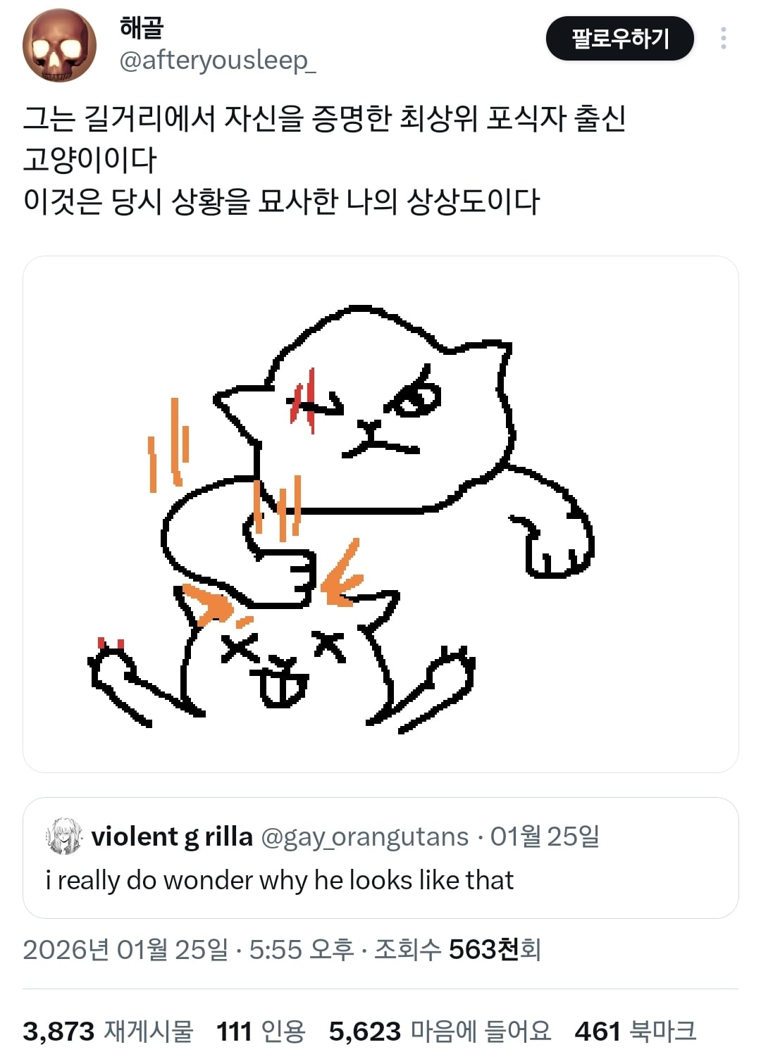 김냄비 사진 보고 놀란 외국인들.twt | 인스티즈