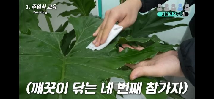 헐. 흥미돋. 식물은 자길 괴롭힌 사람을 기억한대 대박 | 인스티즈