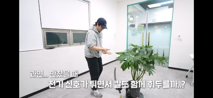 헐. 흥미돋. 식물은 자길 괴롭힌 사람을 기억한대 대박 | 인스티즈