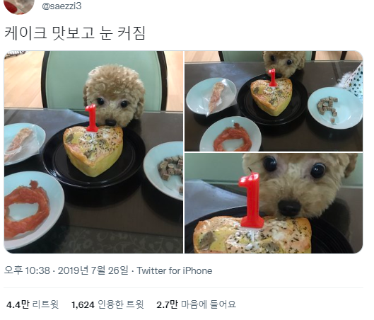 케이크 맛보고 눈커짐 | 인스티즈