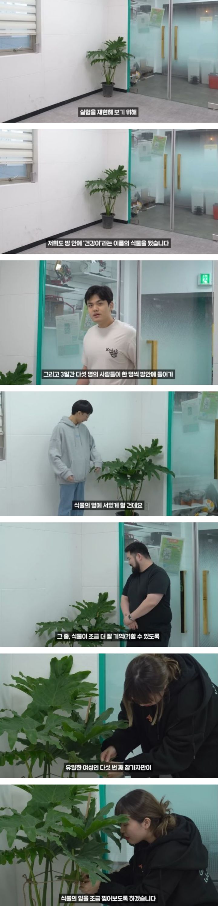 헐. 흥미돋. 식물은 자길 괴롭힌 사람을 기억한대 대박 | 인스티즈