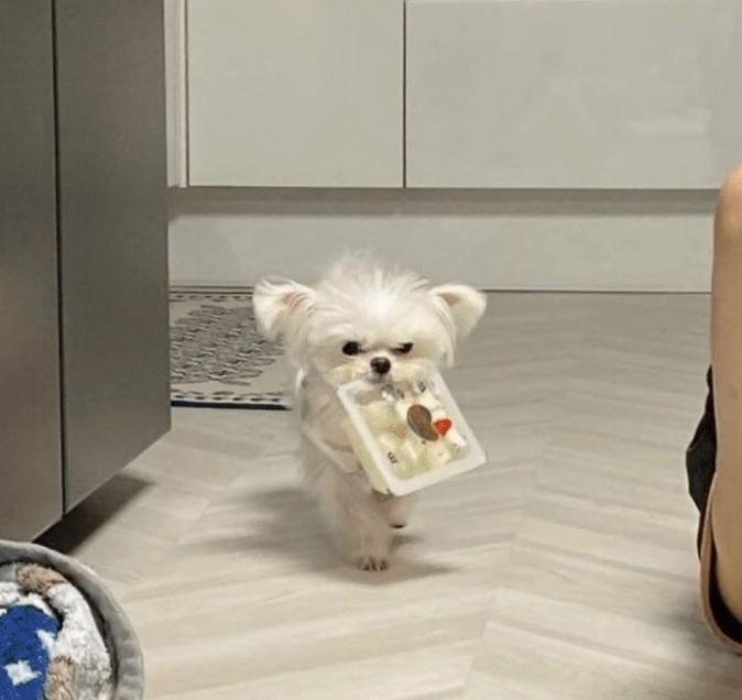 이거 좀 뜯어줘,, | 인스티즈