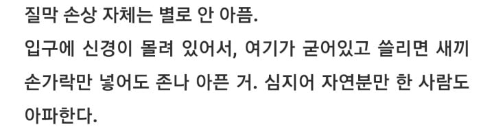 질막(처녀막)에 대해 넌 어디까지 알고있니? | 인스티즈
