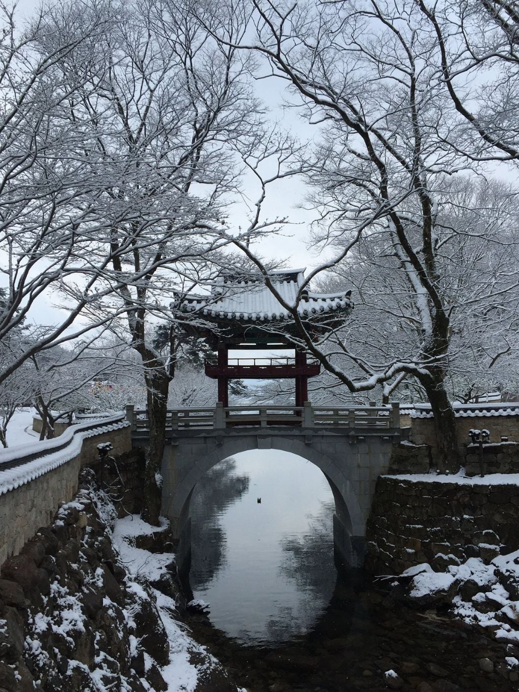 교토 왜 감 구례 가면 되는데.jpg | 인스티즈