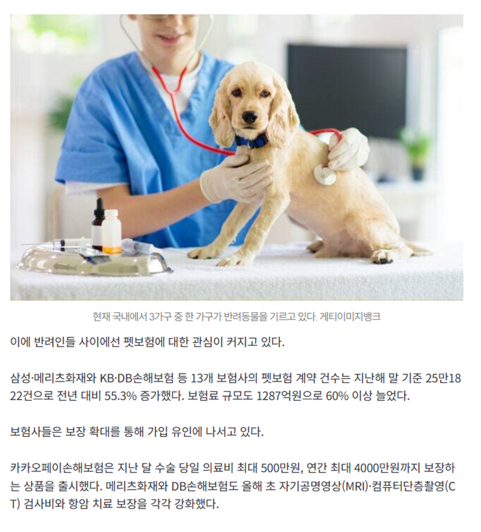 요즘 미쳤다는 반려동물 병원 비용 | 인스티즈
