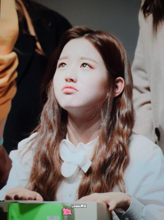 아이즈원 첫 팬싸인회 장원영,안유진,사쿠라,강혜원,김민주,조유리,김채원 사진,움짤.jpgif | 인스티즈