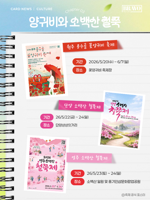 5월 연휴 꼭 가야할 전국 축제 9선 | 인스티즈