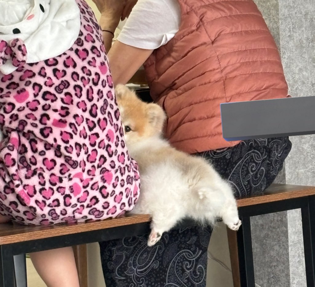 밥먹을때 맨날 이렇게 자연스럽게 끼어있음. 부르면 2번째사진처럼 쳐다봄 | 인스티즈