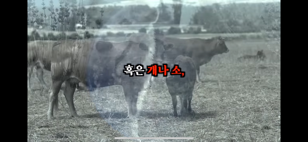 죽고나서 지구로 환생안하는 방법 | 인스티즈