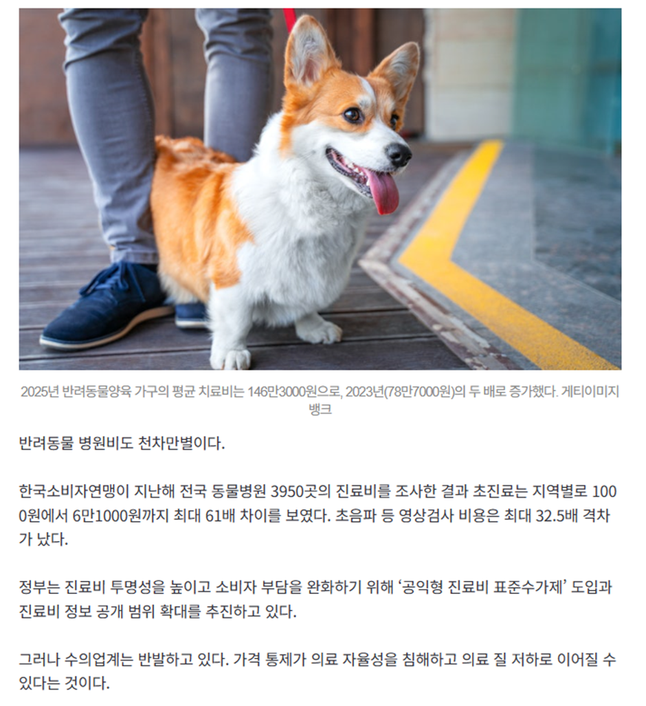 요즘 미쳤다는 반려동물 병원 비용 | 인스티즈