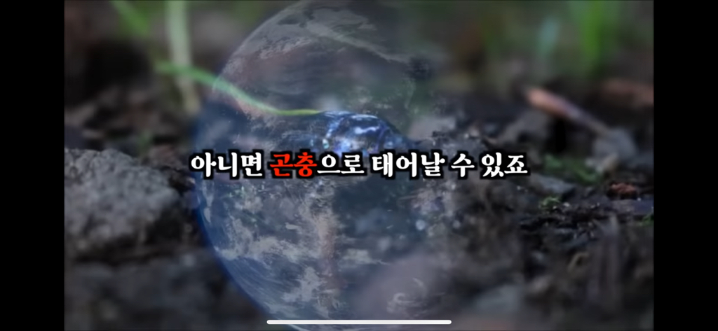 죽고나서 지구로 환생안하는 방법 | 인스티즈