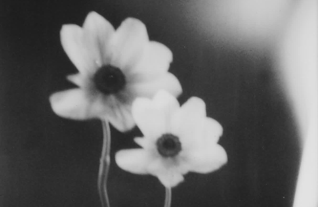 아리아나 그란데 정규8집 Petal 7/31 발매 | 인스티즈