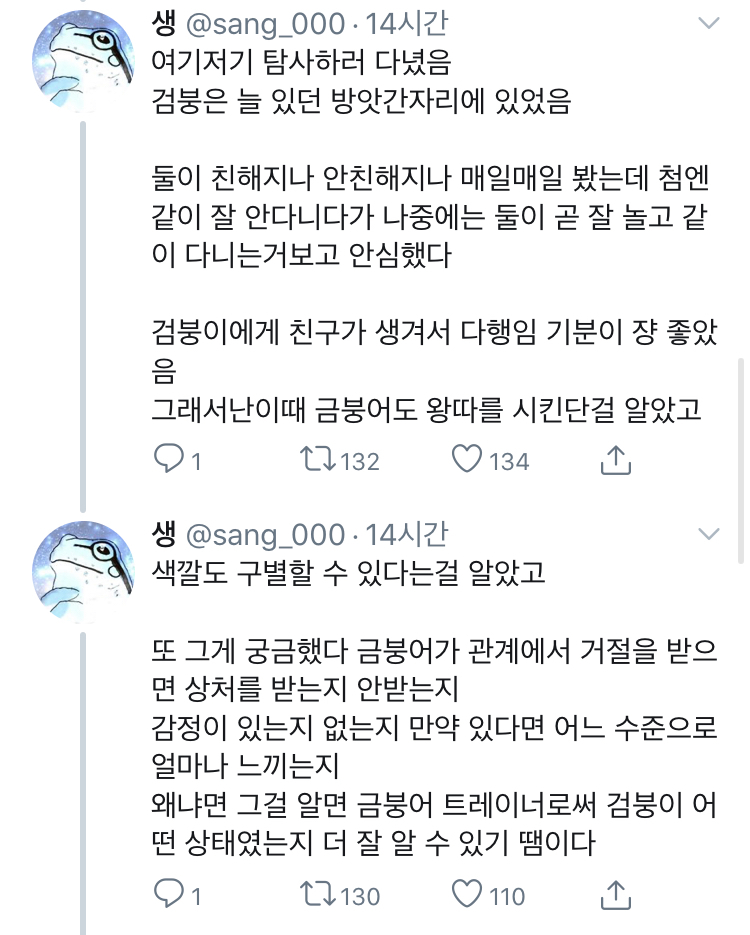금붕어 사이에도 왕따라는 게 존재한다 | 인스티즈