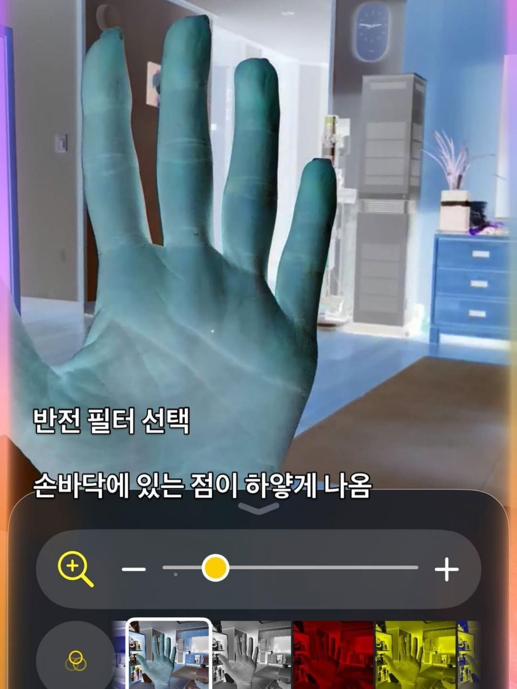 폰으로 강아지 산책 후 진드기 찾는 방법 | 인스티즈