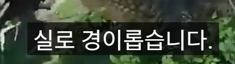 (포브스피셜) 붉은사막 최신 근황.jpg | 인스티즈