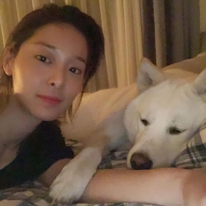 설인아 반려견 방줄리 인스타그램(유기견 출신 진도믹스) | 인스티즈