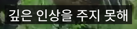 (포브스피셜) 붉은사막 최신 근황.jpg | 인스티즈