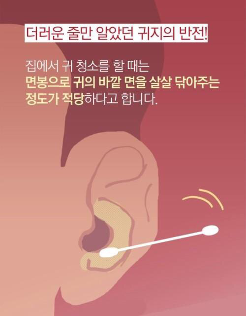 귀지더럽 | 인스티즈
