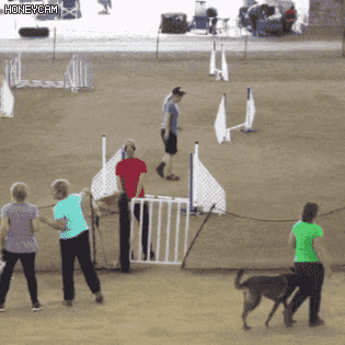짧은데 빠름.gif | 인스티즈