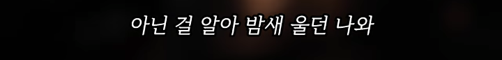 반려묘를 떠나보낸 유튜버가 올린 영상 | 인스티즈
