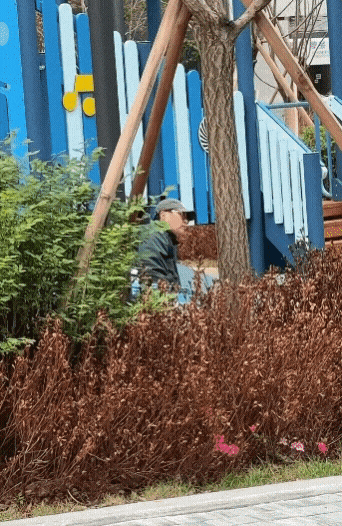 인스타 1시간만에 좋아요수 6만개 찍힌 릴스 ㅋㅋ | 인스티즈