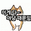 최신 유행어 : 이게 다 야당 때문이다.jpg (+응용법) | 인스티즈
