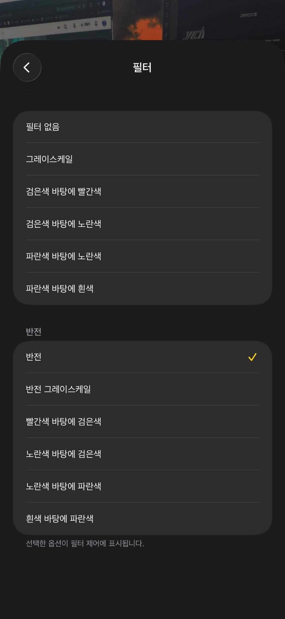 폰으로 강아지 산책 후 진드기 찾는 방법 | 인스티즈